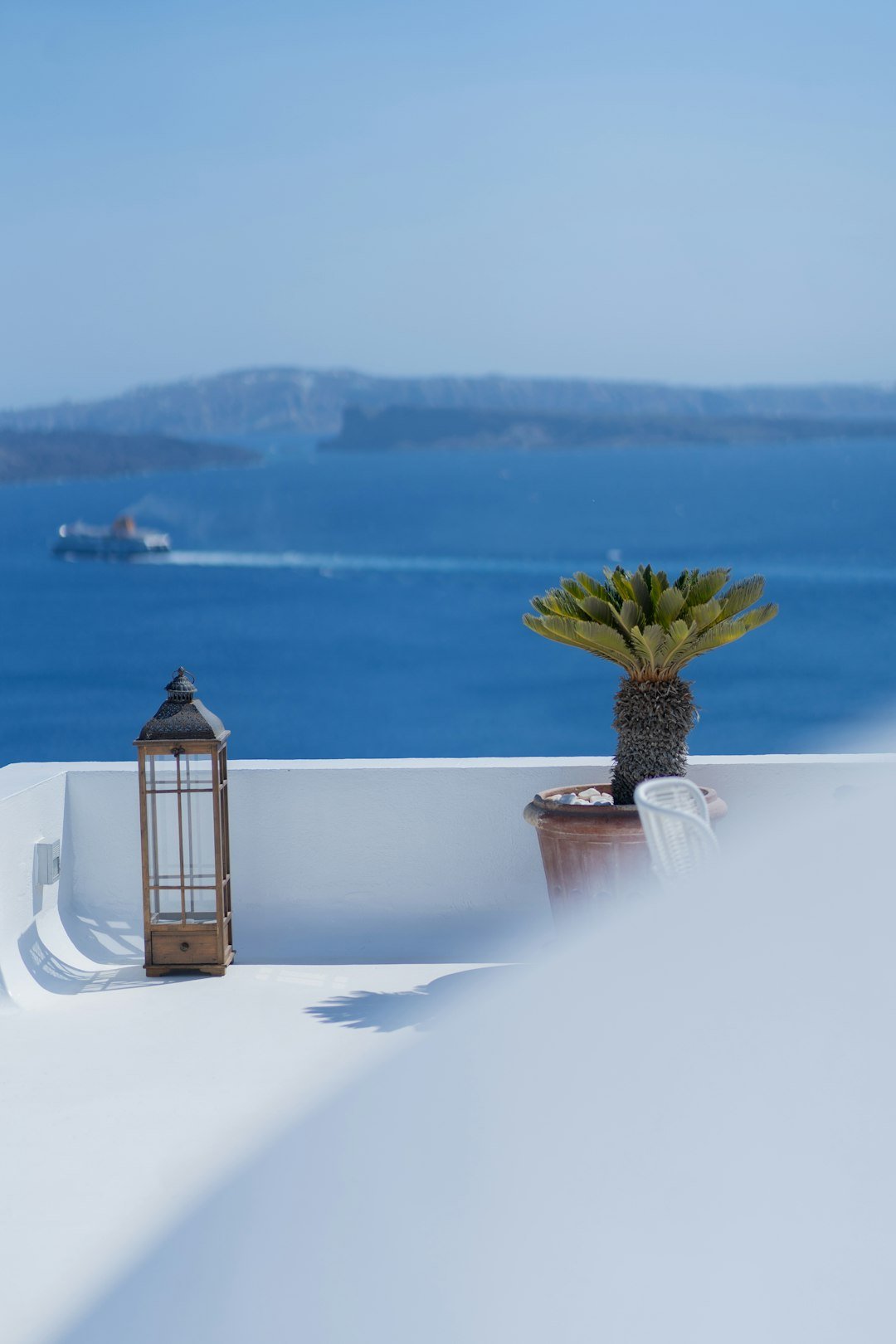 A potted plant sitting on top of a white roof